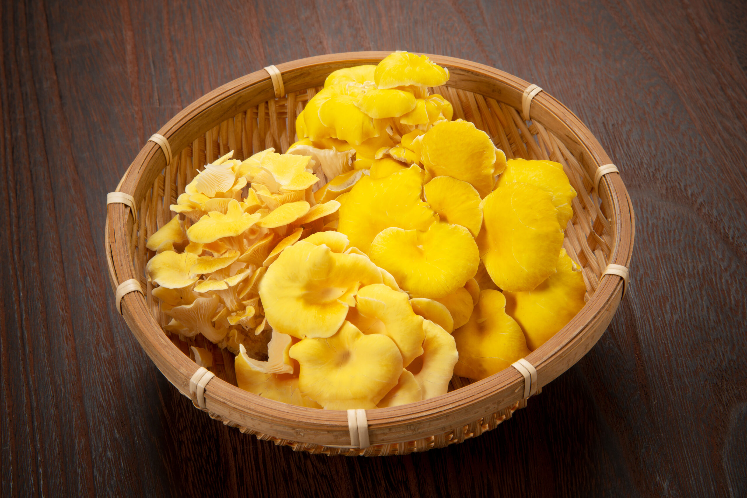 北海道からの贈り物・たもぎ茸!の巻 | ギフト・大阪土産に大人気の発酵食品・昆布佃煮は「舞昆のこうはら」で!